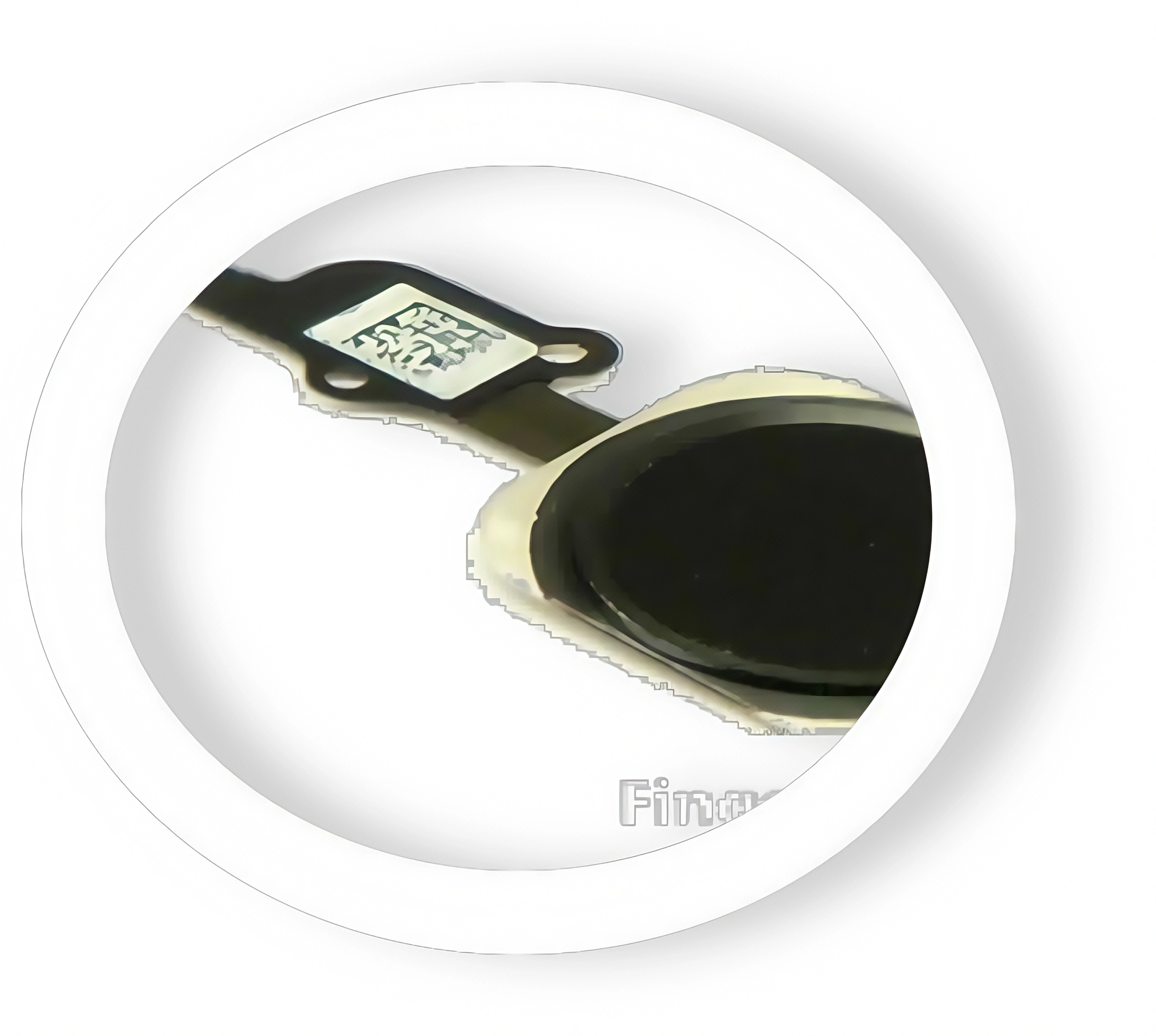 Finger Printer Module